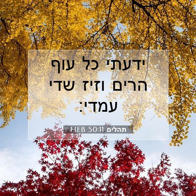 Picture 07 - תהלים 50:11 HEB - ידעתי כל עוף הרים וזיז שדי - Bible Verse Picture