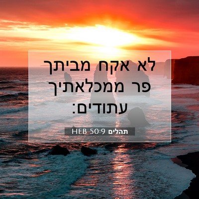Picture 07 - תהלים 50:9 HEB - לא אקח מביתך פר ממכלאתיך - Bible Verse Picture