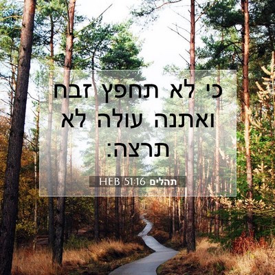 Picture 07 - תהלים 51:16 HEB - כי לא תחפץ זבח ואתנה עולה - Bible Verse Picture