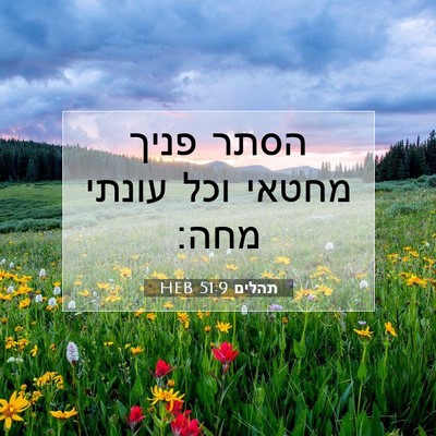 Picture 07 - תהלים 51:9 HEB - הסתר פניך מחטאי וכל עונתי - Bible Verse Picture