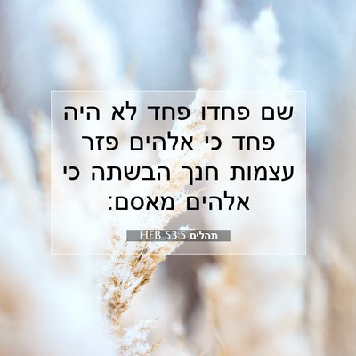 Picture 07 - תהלים 53:5 HEB - שם פחדו פחד לא היה פחד כי - Bible Verse Picture