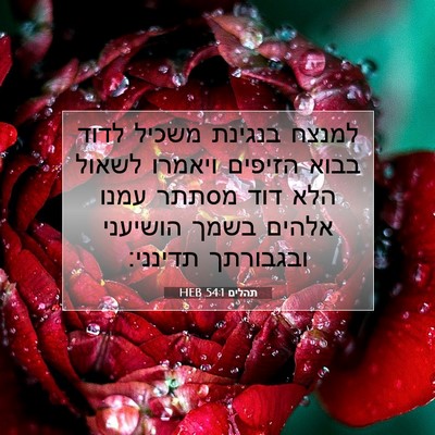 Picture 07 - תהלים 54:1 HEB - למנצח בנגינת משכיל לדוד - Bible Verse Picture