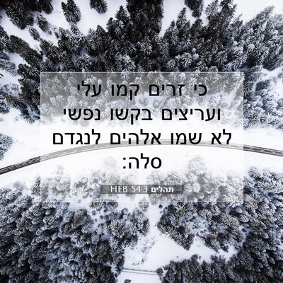 Picture 07 - תהלים 54:3 HEB - כי זרים קמו עלי ועריצים - Bible Verse Picture