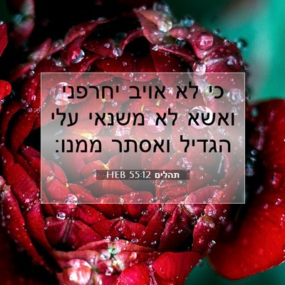 Picture 07 - תהלים 55:12 HEB - כי לא אויב יחרפני ואשא לא - Bible Verse Picture