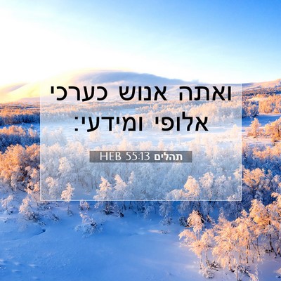 Picture 07 - תהלים 55:13 HEB - ואתה אנוש כערכי אלופי - Bible Verse Picture