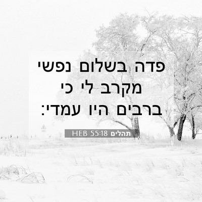 Picture 07 - תהלים 55:18 HEB - פדה בשלום נפשי מקרב לי כי - Bible Verse Picture