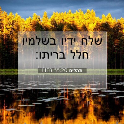 Picture 07 - תהלים 55:20 HEB - שלח ידיו בשלמיו חלל - Bible Verse Picture