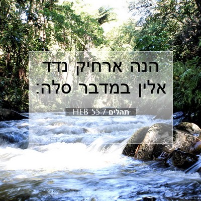 Picture 07 - תהלים 55:7 HEB - הנה ארחיק נדד אלין במדבר - Bible Verse Picture