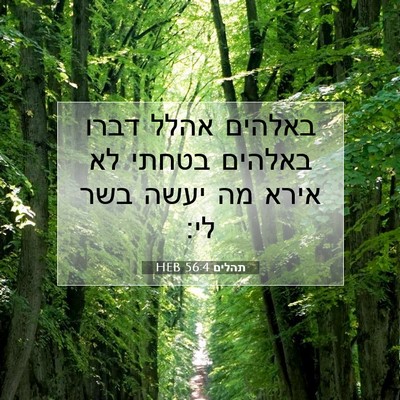 Picture 07 - תהלים 56:4 HEB - באלהים אהלל דברו באלהים - Bible Verse Picture