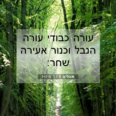 Picture 07 - תהלים 57:8 HEB - עורה כבודי עורה הנבל וכנור - Bible Verse Picture