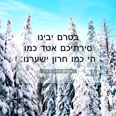 Picture 07 - תהלים 58:9 HEB - בטרם יבינו סירתיכם אטד כמו - Bible Verse Picture