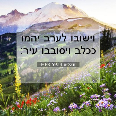 Picture 07 - תהלים 59:14 HEB - וישובו לערב יהמו ככלב - Bible Verse Picture