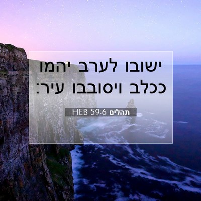 Picture 07 - תהלים 59:6 HEB - ישובו לערב יהמו ככלב - Bible Verse Picture