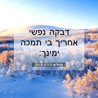 Picture 07 - תהלים 63:8 HEB - דבקה נפשי אחריך בי תמכה - Bible Verse Picture