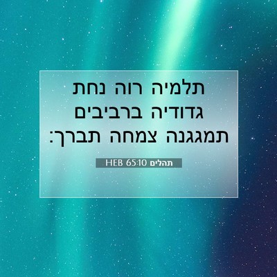 Picture 07 - תהלים 65:10 HEB - תלמיה רוה נחת גדודיה - Bible Verse Picture