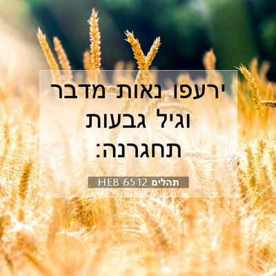 Picture 07 - תהלים 65:12 HEB - ירעפו נאות מדבר וגיל גבעות - Bible Verse Picture