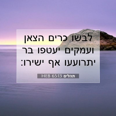 Picture 07 - תהלים 65:13 HEB - לבשו כרים הצאן ועמקים - Bible Verse Picture
