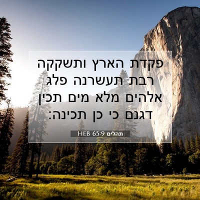 Picture 07 - תהלים 65:9 HEB - פקדת הארץ ותשקקה רבת - Bible Verse Picture