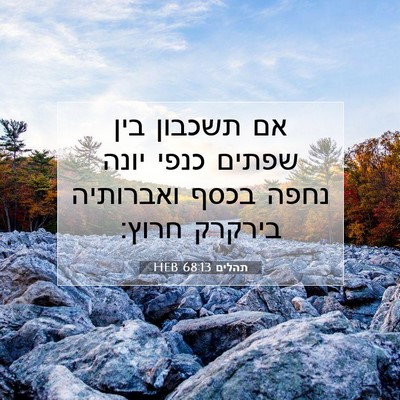 Picture 07 - תהלים 68:13 HEB - אם תשכבון בין שפתים כנפי - Bible Verse Picture