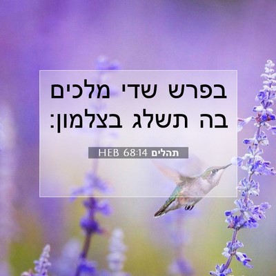 Picture 07 - תהלים 68:14 HEB - בפרש שדי מלכים בה תשלג - Bible Verse Picture