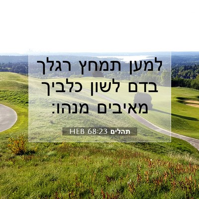 Picture 07 - תהלים 68:23 HEB - למען תמחץ רגלך בדם לשון - Bible Verse Picture