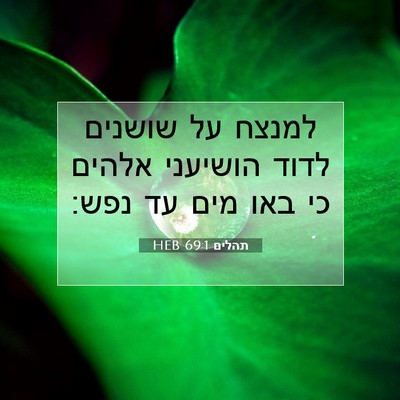 Picture 07 - תהלים 69:1 HEB - למנצח על שושנים לדוד - Bible Verse Picture