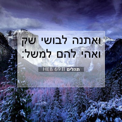 Picture 07 - תהלים 69:11 HEB - ואתנה לבושי שק ואהי להם - Bible Verse Picture