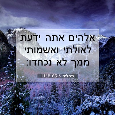 Picture 07 - תהלים 69:5 HEB - אלהים אתה ידעת לאולתי - Bible Verse Picture