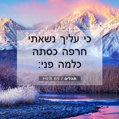 Picture 07 - תהלים 69:7 HEB - כי עליך נשאתי חרפה כסתה - Bible Verse Picture