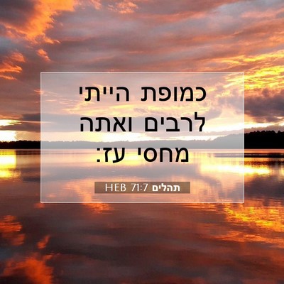 Picture 07 - תהלים 71:7 HEB - כמופת הייתי לרבים ואתה - Bible Verse Picture