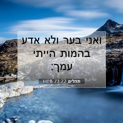 Picture 07 - תהלים 73:22 HEB - ואני בער ולא אדע בהמות - Bible Verse Picture