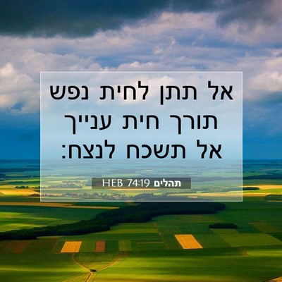 Picture 07 - תהלים 74:19 HEB - אל תתן לחית נפש תורך חית - Bible Verse Picture
