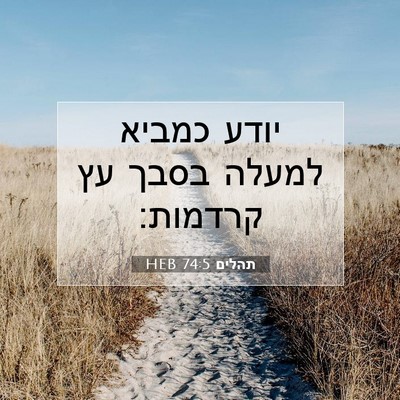 Picture 07 - תהלים 74:5 HEB - יודע כמביא למעלה בסבך עץ - Bible Verse Picture