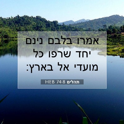 Picture 07 - תהלים 74:8 HEB - אמרו בלבם נינם יחד שרפו כל - Bible Verse Picture