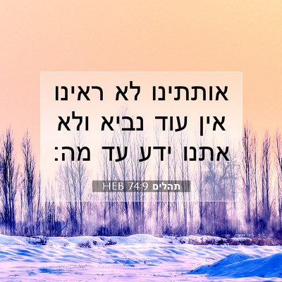 Picture 07 - תהלים 74:9 HEB - אותתינו לא ראינו אין עוד - Bible Verse Picture
