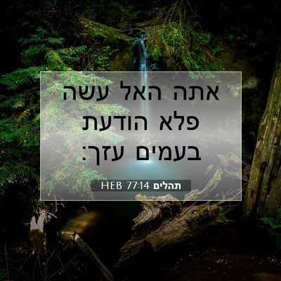 Picture 07 - תהלים 77:14 HEB - אתה האל עשה פלא הודעת בעמים - Bible Verse Picture