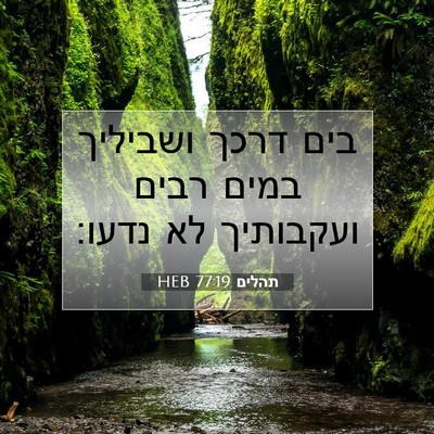 Picture 07 - תהלים 77:19 HEB - בים דרכך ושביליך במים רבים - Bible Verse Picture