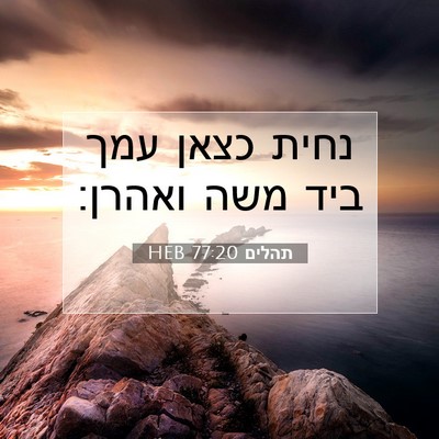 Picture 07 - תהלים 77:20 HEB - נחית כצאן עמך ביד משה - Bible Verse Picture