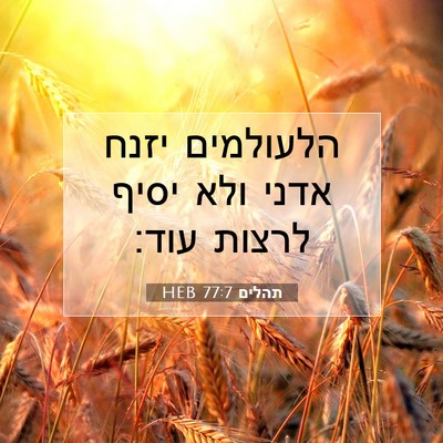 Picture 07 - תהלים 77:7 HEB - הלעולמים יזנח אדני ולא - Bible Verse Picture
