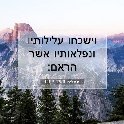 Picture 07 - תהלים 78:11 HEB - וישכחו עלילותיו ונפלאותיו - Bible Verse Picture