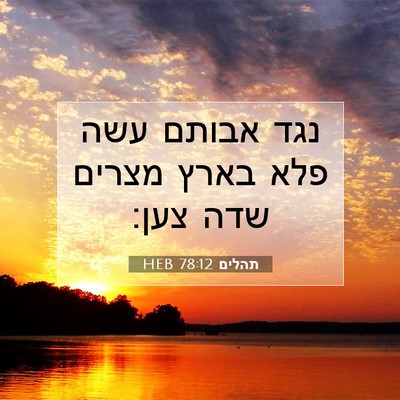 Picture 07 - תהלים 78:12 HEB - נגד אבותם עשה פלא בארץ - Bible Verse Picture