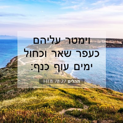 Picture 07 - תהלים 78:27 HEB - וימטר עליהם כעפר שאר וכחול - Bible Verse Picture