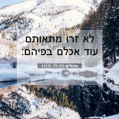 Picture 07 - תהלים 78:30 HEB - לא זרו מתאותם עוד אכלם - Bible Verse Picture