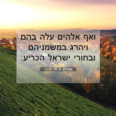 Picture 07 - תהלים 78:31 HEB - ואף אלהים עלה בהם ויהרג - Bible Verse Picture