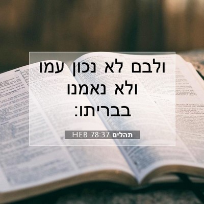 Picture 07 - תהלים 78:37 HEB - ולבם לא נכון עמו ולא נאמנו - Bible Verse Picture
