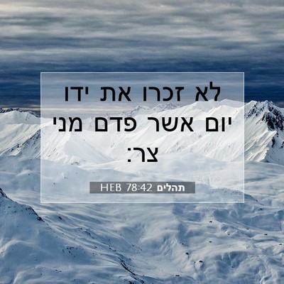 Picture 07 - תהלים 78:42 HEB - לא זכרו את ידו יום אשר פדם - Bible Verse Picture