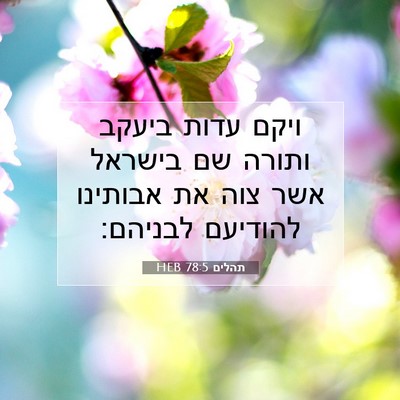 Picture 07 - תהלים 78:5 HEB - ויקם עדות ביעקב ותורה שם - Bible Verse Picture