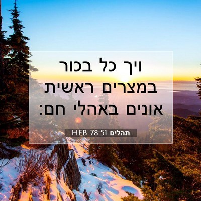 Picture 07 - תהלים 78:51 HEB - ויך כל בכור במצרים ראשית - Bible Verse Picture