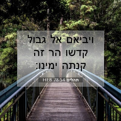 Picture 07 - תהלים 78:54 HEB - ויביאם אל גבול קדשו הר זה - Bible Verse Picture