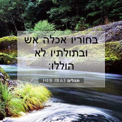 Picture 07 - תהלים 78:63 HEB - בחוריו אכלה אש ובתולתיו לא - Bible Verse Picture